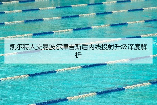 凯尔特人交易波尔津吉斯后内线投射升级深度解析